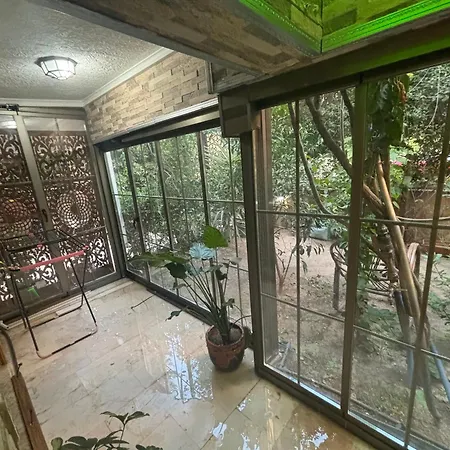 Orange Garden