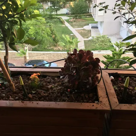 Accommodatie bij particulieren Orange Garden *