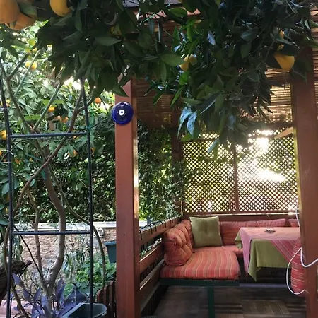 Orange Garden Δωμάτια σε οικογενειακή κατοικία *