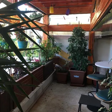 Orange Garden Проживание в семье