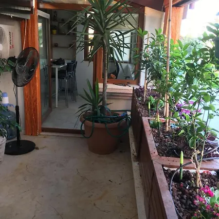 Séjour chez l'habitant Orange Garden Antalya