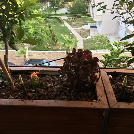 Quarto em Acomodações Particulares Orange Garden *
