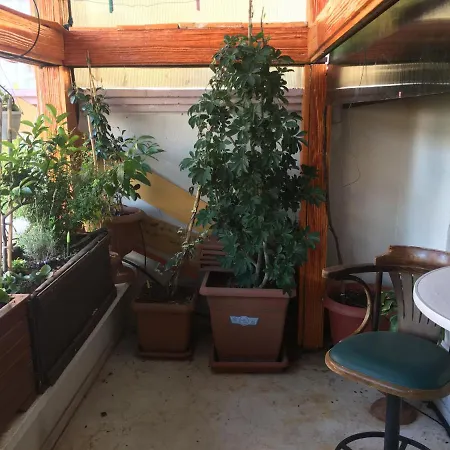 Проживание в семье Orange Garden