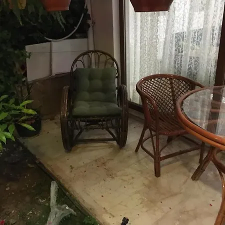 Orange Garden Проживание в семье