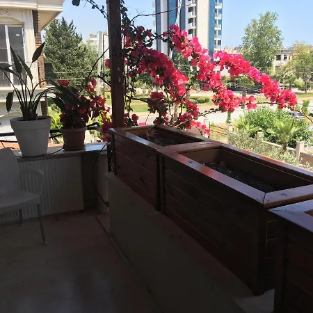 Проживание в семье Orange Garden