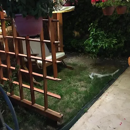 Orange Garden