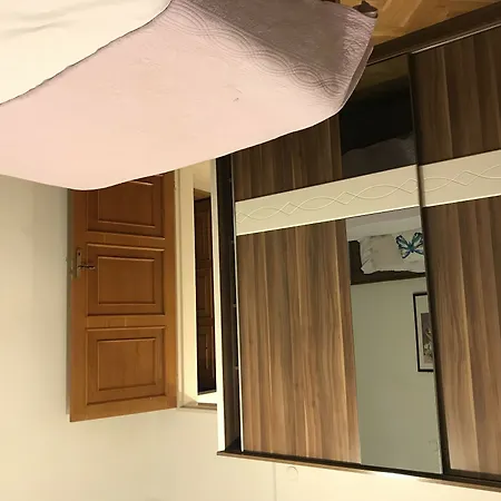 Проживание в семье Orange Garden *