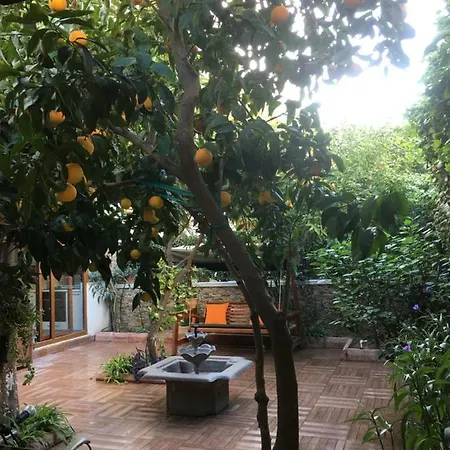 Orange Garden
