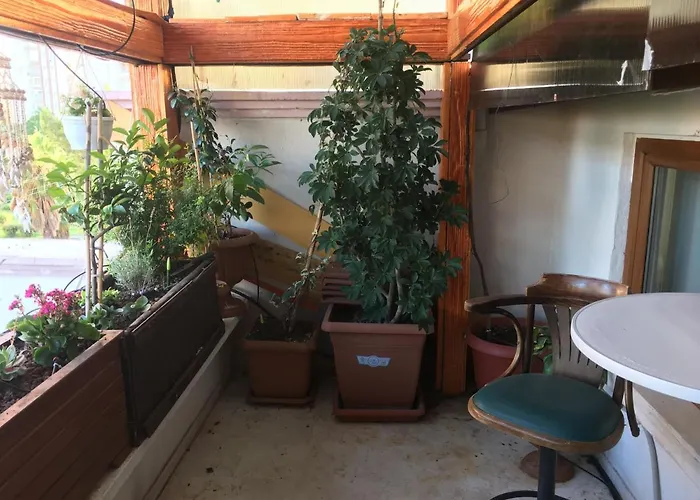 Homestay Orange Garden