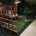 Orange Garden