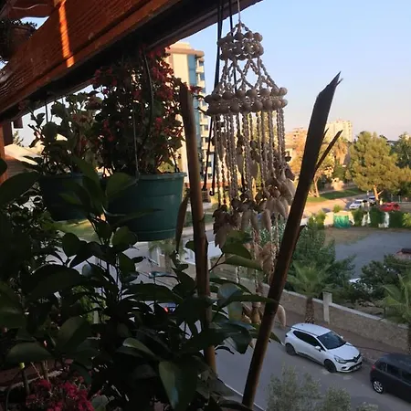 Orange Garden בית אירוח *