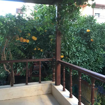 Orange Garden בית אירוח